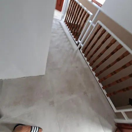 Kitti Panzio